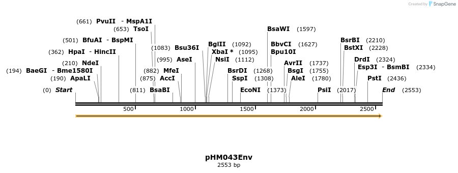 265807_map