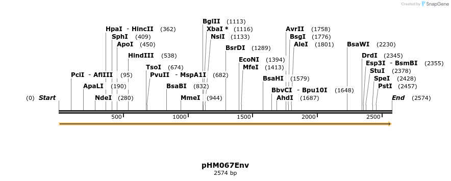 265808_map