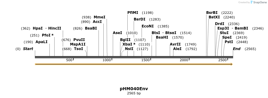 265809_map
