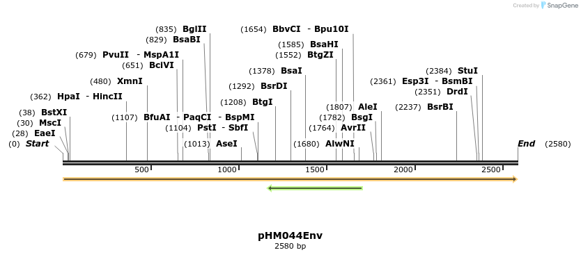 265810_map