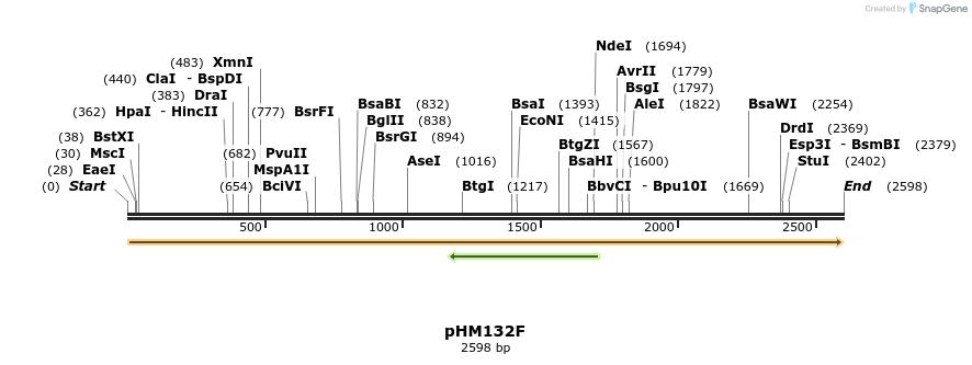 265811_map