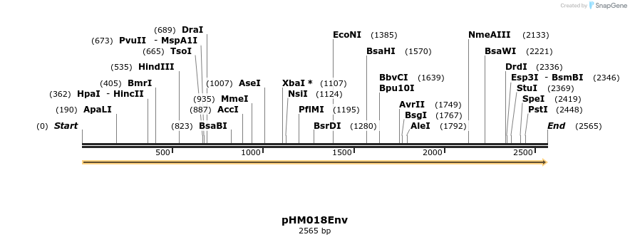 265812_map