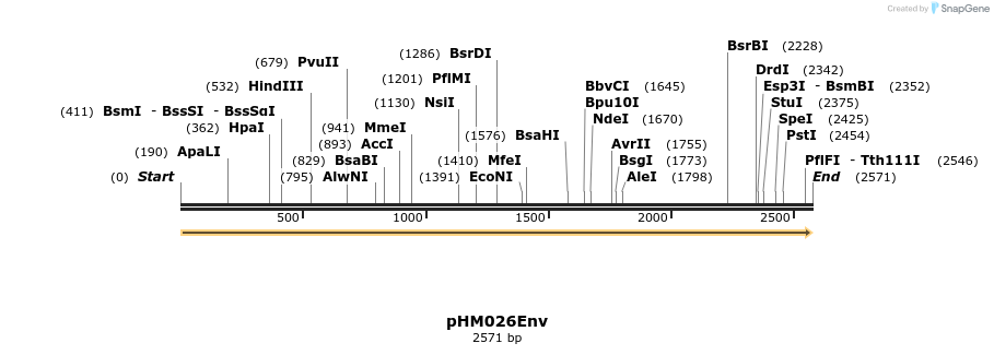 265813_map
