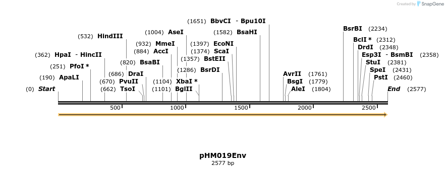 265817_map