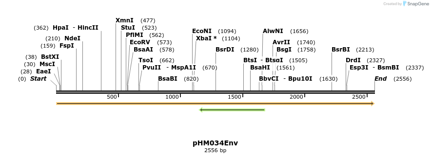265818_map