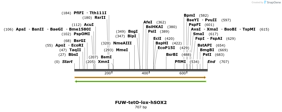 26586_map