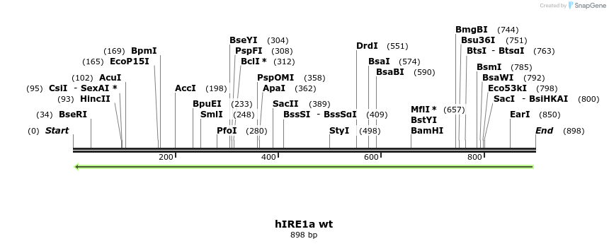 26589_map