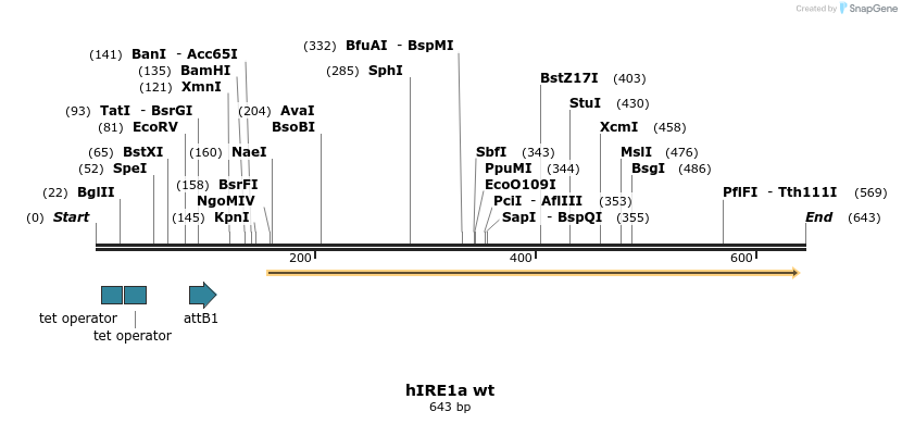 26590_map