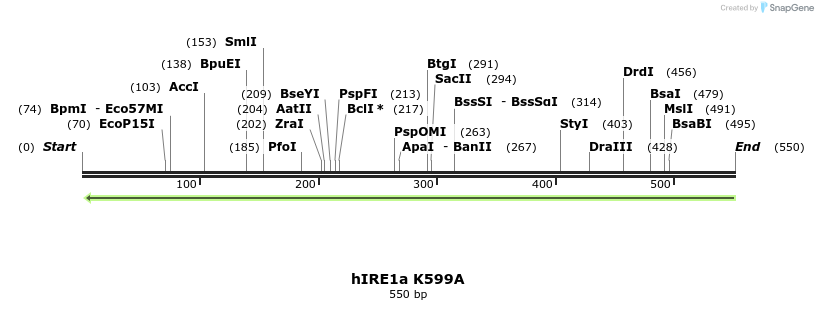 26591_map
