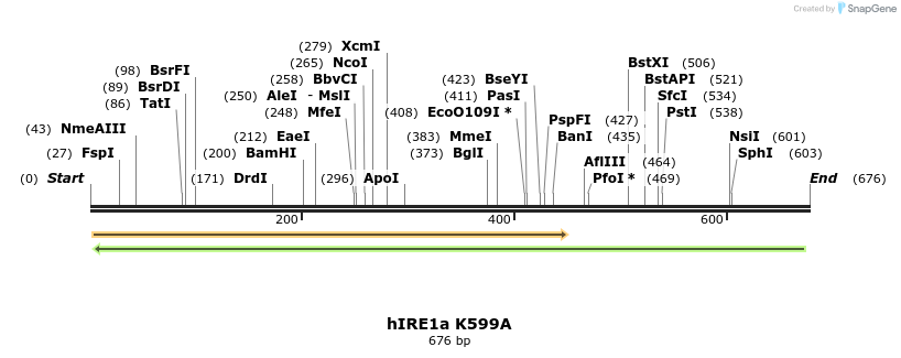26593_map