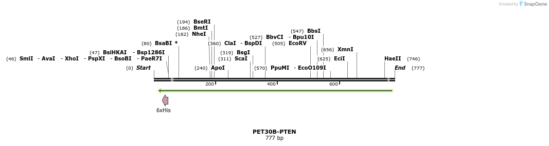 26598_map