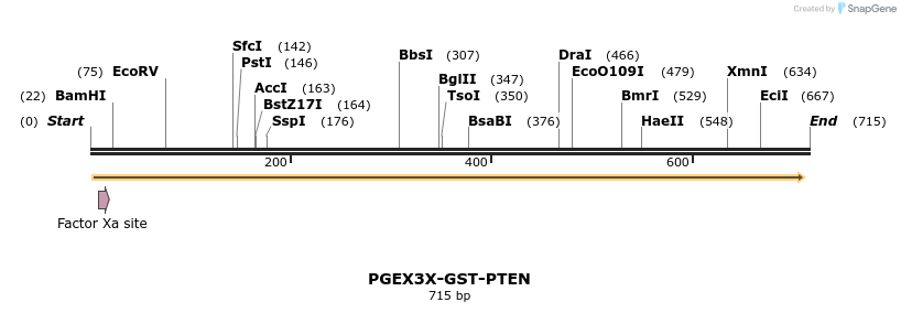 26600_map