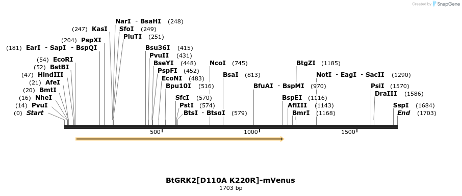 266020_map