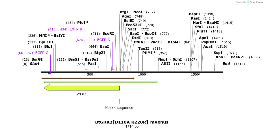 266021_map