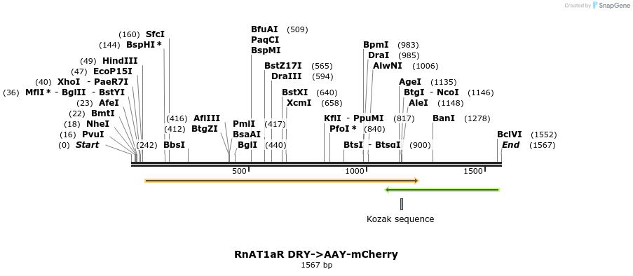 266028_map
