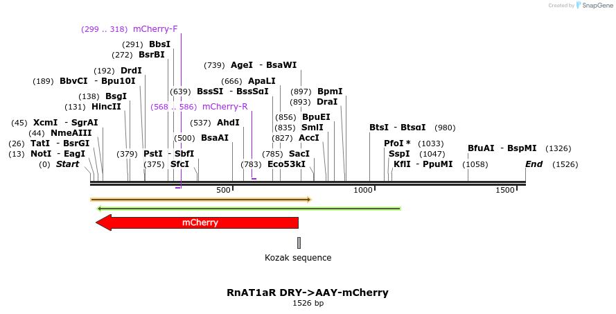 266029_map