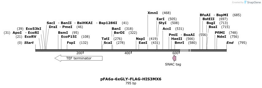 26603_map
