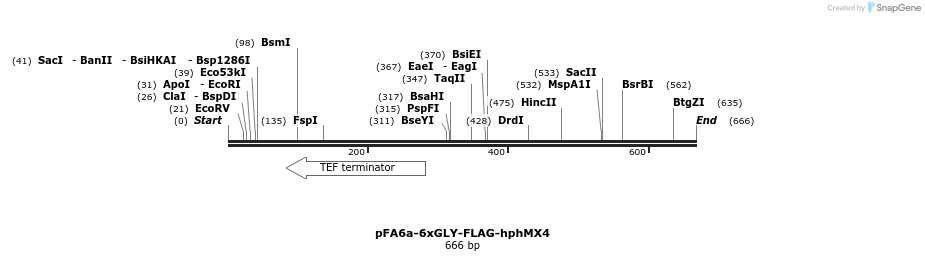 26605_map
