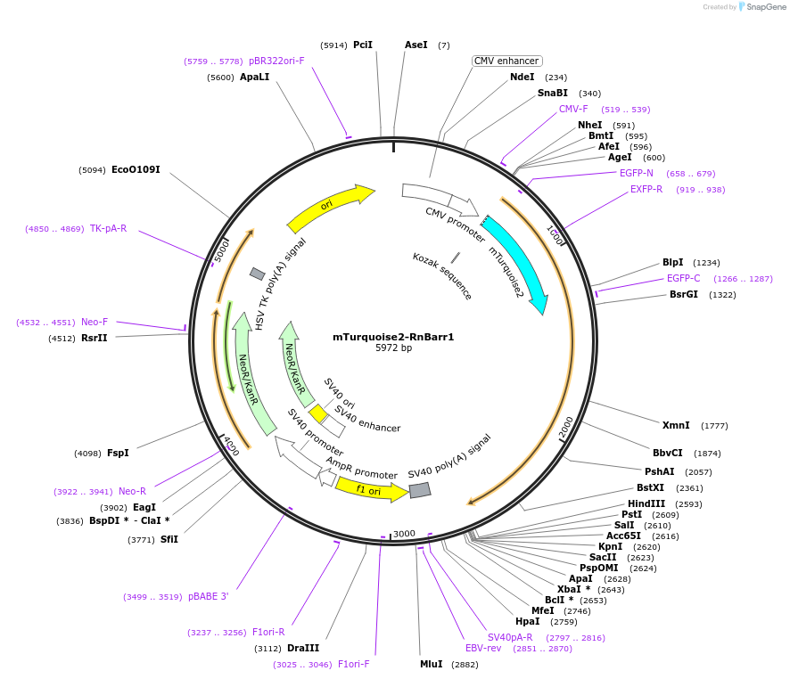 266052_map