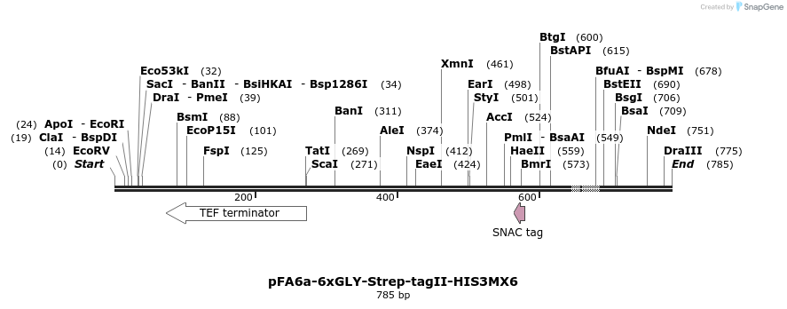 26609_map