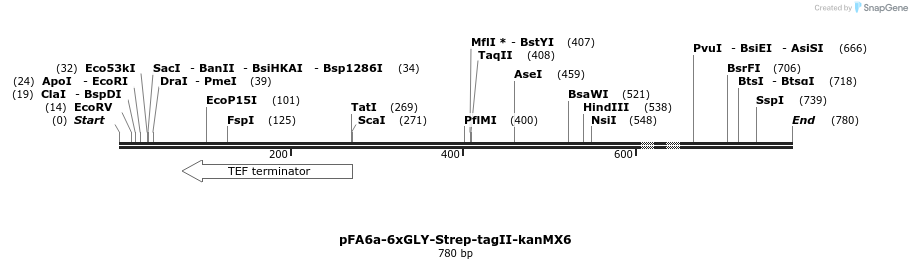26610_map