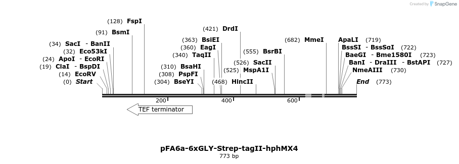 26611_map