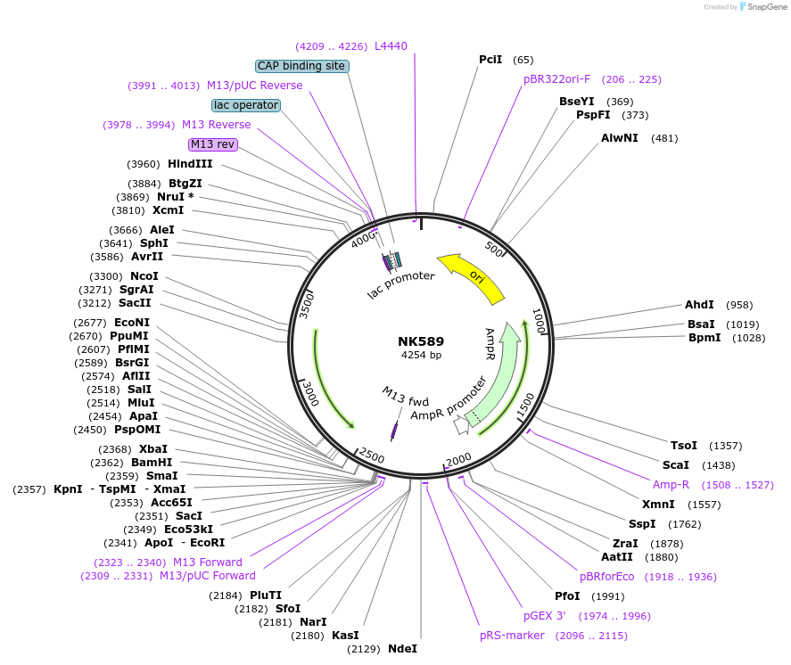266112_map