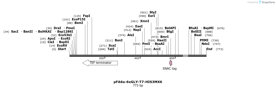 26612_map