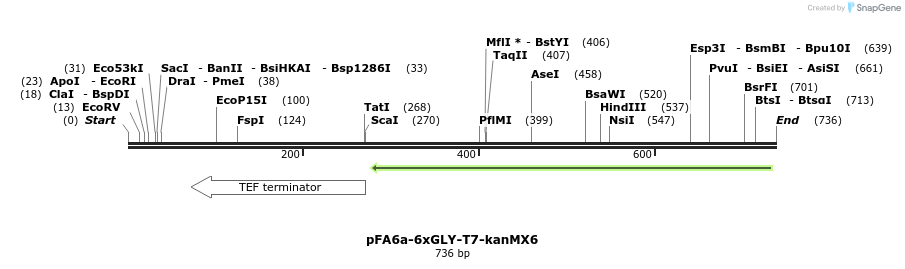 26613_map
