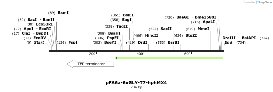 26614_map