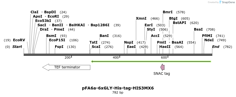 26615_map