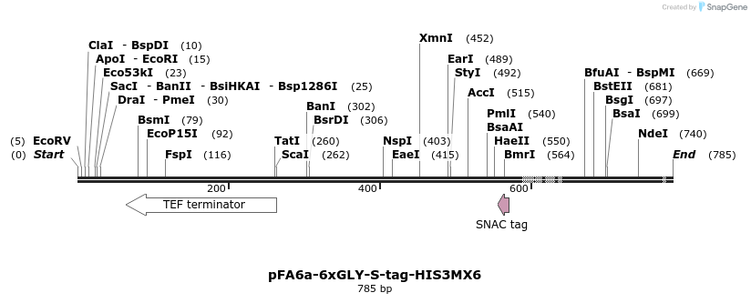 26618_map