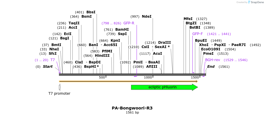 266181_map