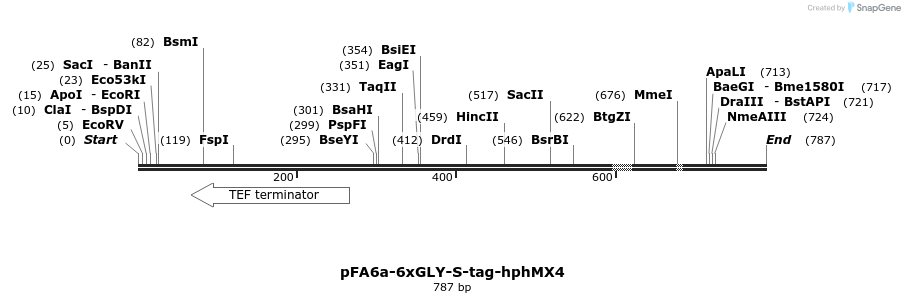 26620_map