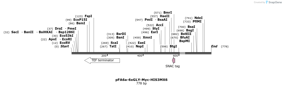 26621_map