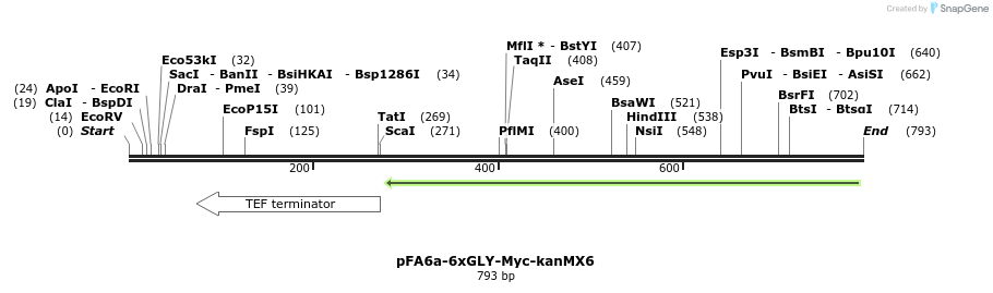26622_map
