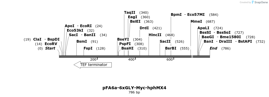 26623_map
