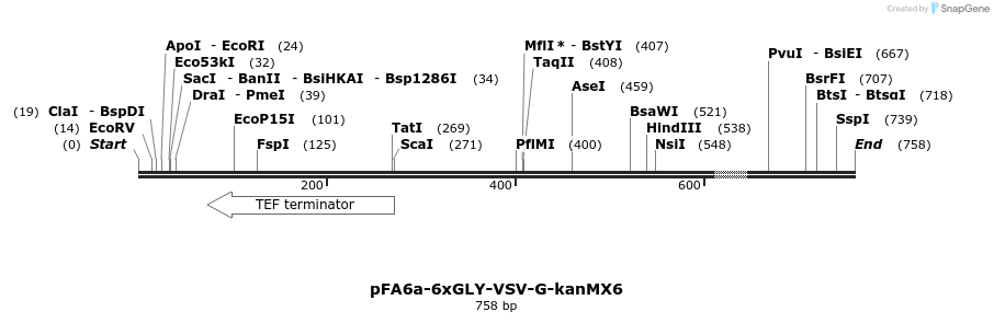 26625_map