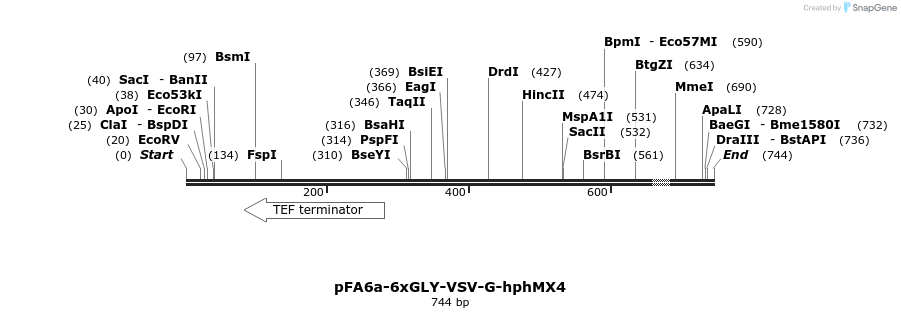 26626_map