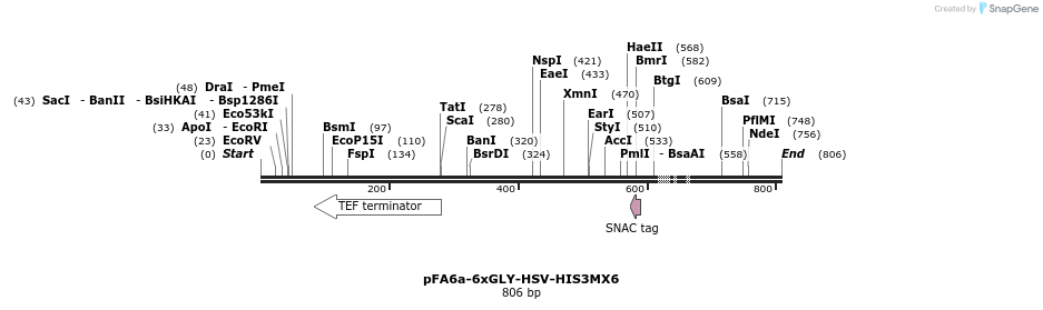 26627_map