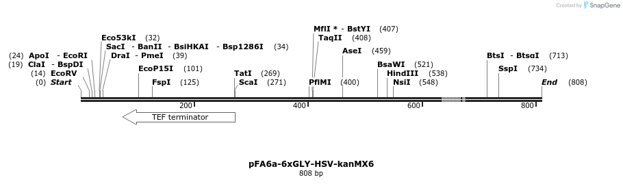 26628_map
