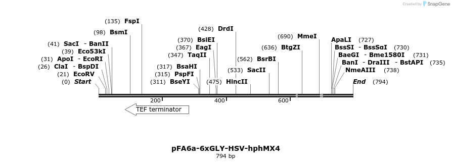 26629_map