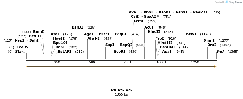 266302_map