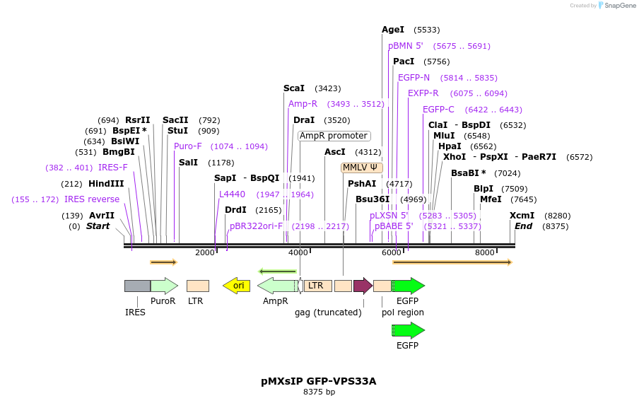 266324_map