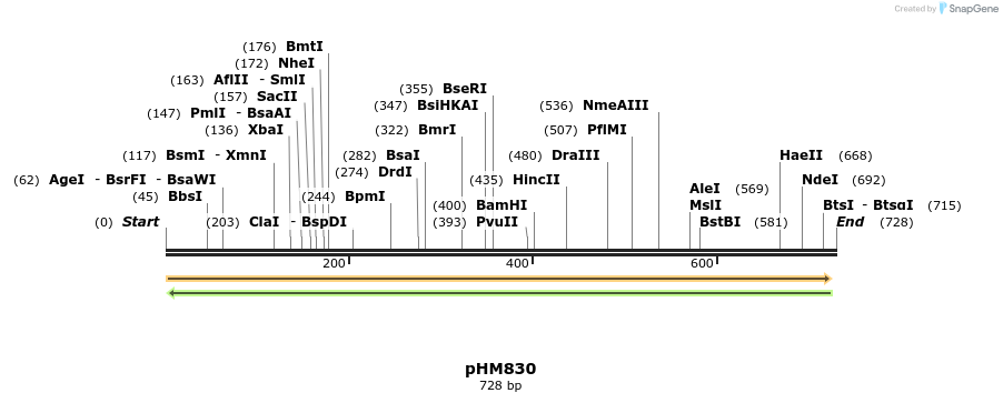 26634_map