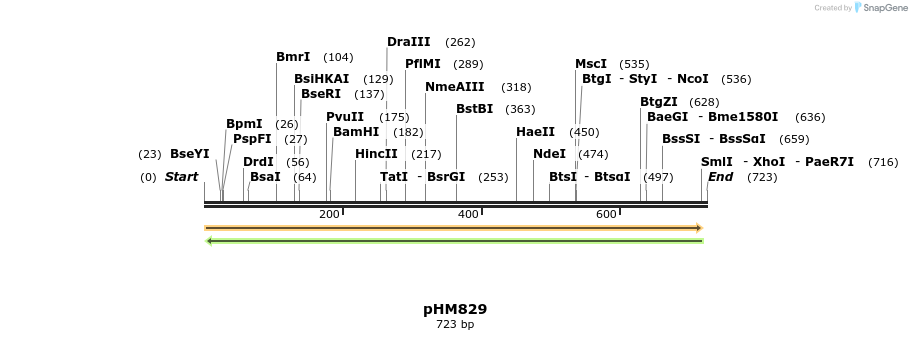 26635_map