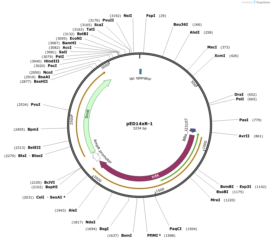 134797-plasmid-map-sequence-id-266388