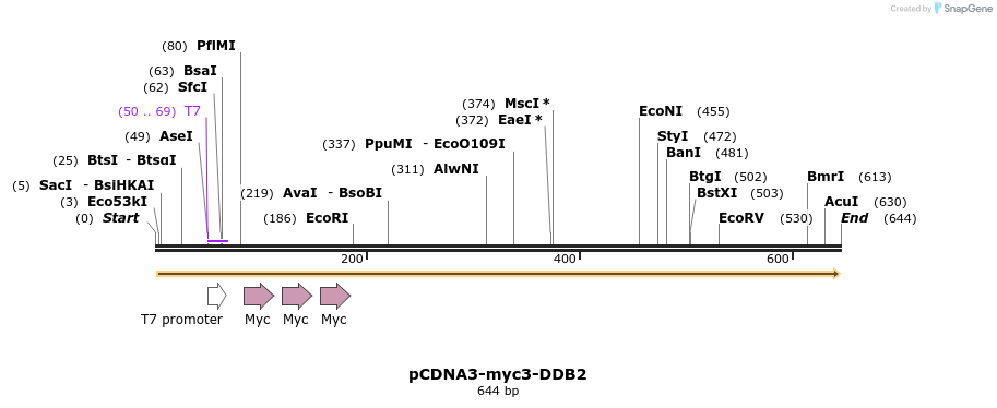 26639_map