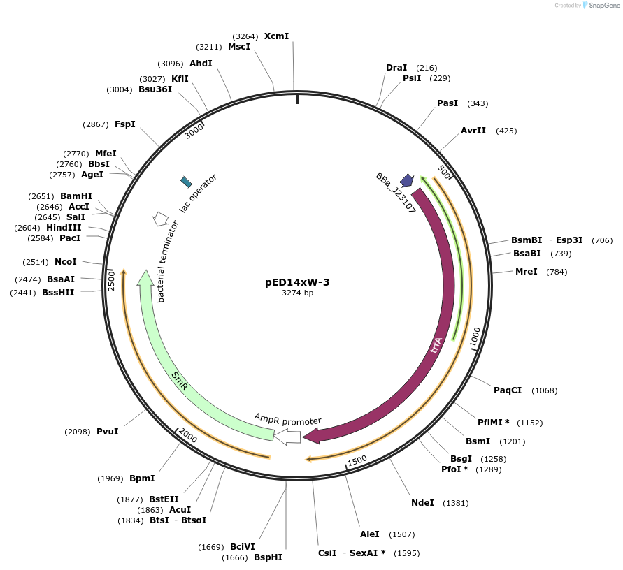 134806-plasmid-map-sequence-id-266459