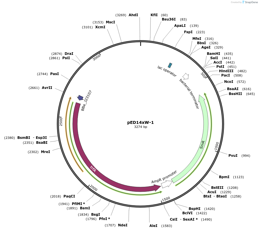 134805-plasmid-map-sequence-id-266460